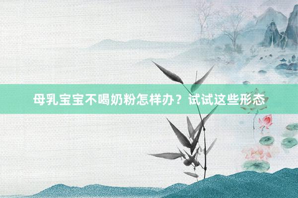 母乳宝宝不喝奶粉怎样办？试试这些形态