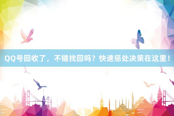 QQ号回收了，不错找回吗？快速惩处决策在这里！